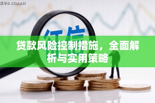 郁南贷款风险控制措施，全面解析与实用策略