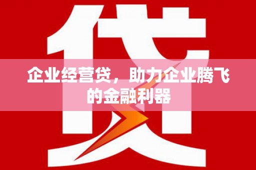 郁南企业经营贷，助力企业腾飞的金融利器