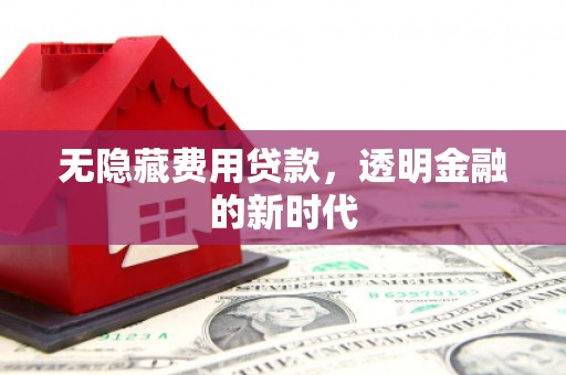 郁南无隐藏费用贷款，透明金融的新时代
