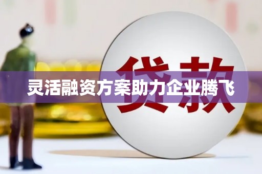 郁南灵活融资方案助力企业腾飞