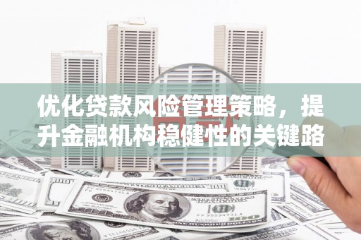 郁南优化贷款风险管理策略，提升金融机构稳健性的关键路径