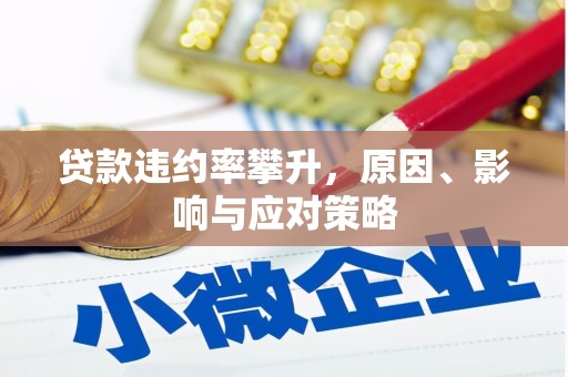 郁南贷款违约率攀升，原因、影响与应对策略