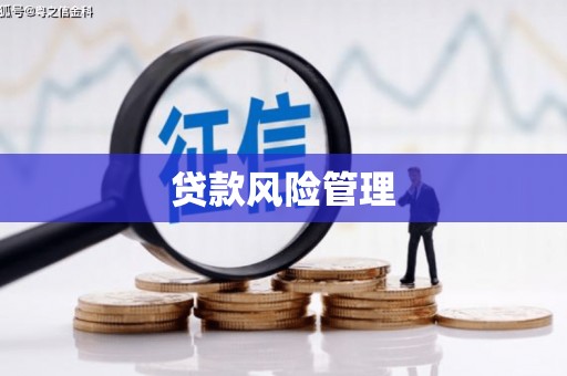 郁南贷款风险管理