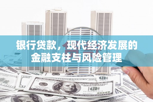 郁南银行贷款，现代经济发展的金融支柱与风险管理