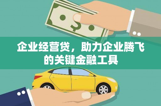 郁南企业经营贷，助力企业腾飞的关键金融工具