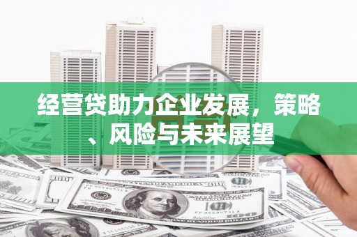 郁南经营贷助力企业发展，策略、风险与未来展望