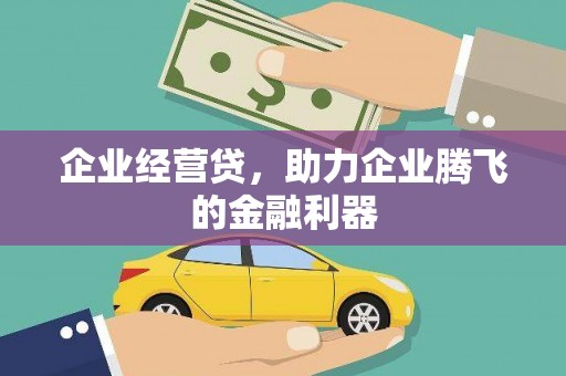郁南企业经营贷，助力企业腾飞的金融利器