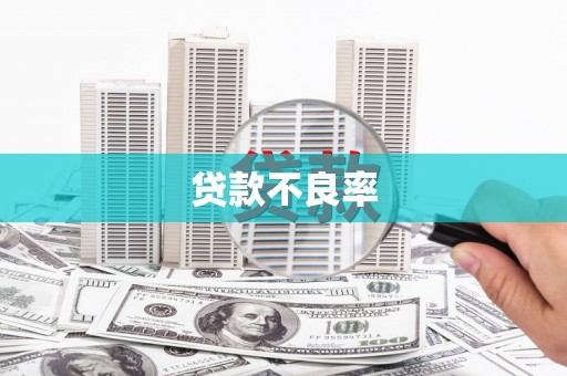 郁南贷款不良率