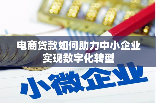 郁南电商贷款如何助力中小企业实现数字化转型