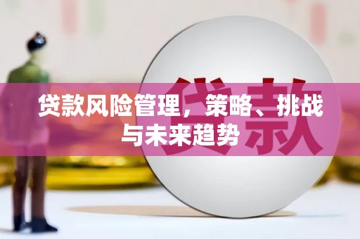 郁南贷款风险管理，策略、挑战与未来趋势