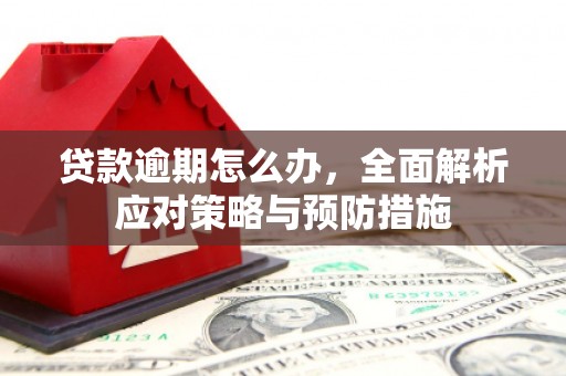 郁南贷款逾期怎么办，全面解析应对策略与预防措施