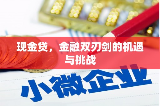 郁南现金贷，金融双刃剑的机遇与挑战