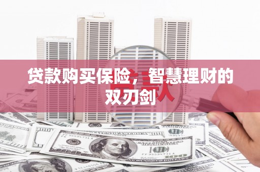 郁南贷款购买保险，智慧理财的双刃剑