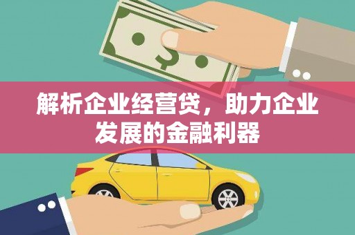 郁南解析企业经营贷，助力企业发展的金融利器