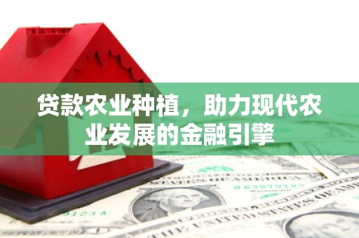 郁南贷款农业种植，助力现代农业发展的金融引擎