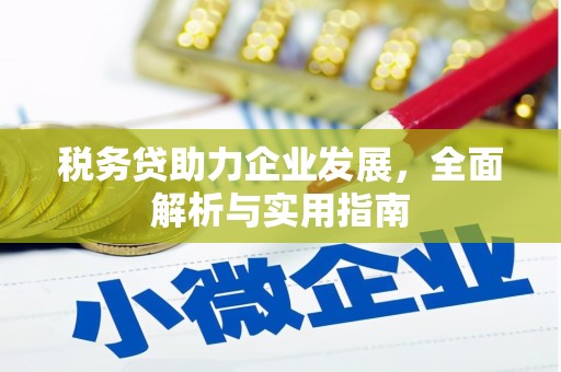郁南税务贷助力企业发展，全面解析与实用指南