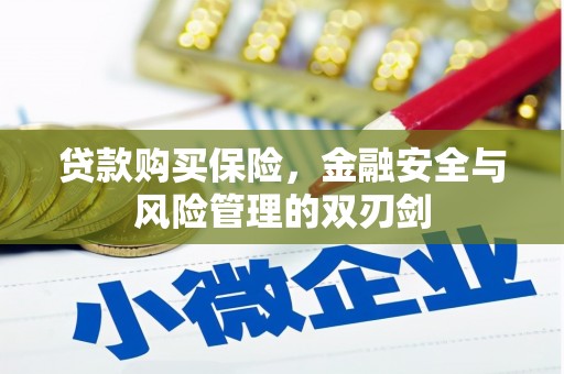 郁南贷款购买保险，金融安全与风险管理的双刃剑