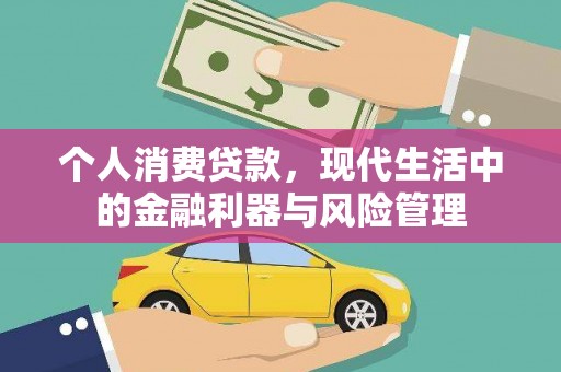 郁南个人消费贷款，现代生活中的金融利器与风险管理
