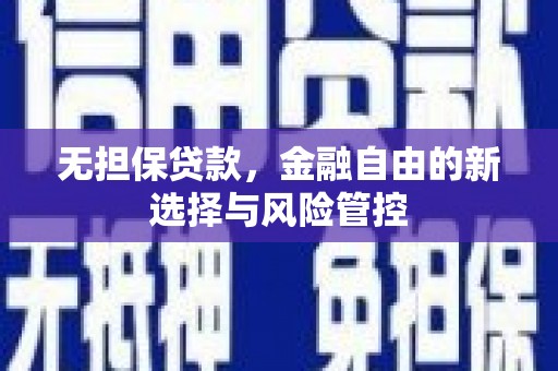 郁南无担保贷款，金融自由的新选择与风险管控