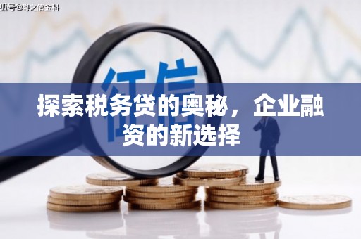 郁南探索税务贷的奥秘，企业融资的新选择