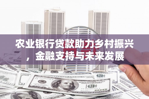 郁南农业银行贷款助力乡村振兴，金融支持与未来发展