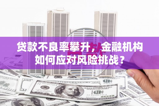 郁南贷款不良率攀升，金融机构如何应对风险挑战？