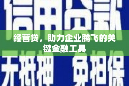 郁南经营贷，助力企业腾飞的关键金融工具