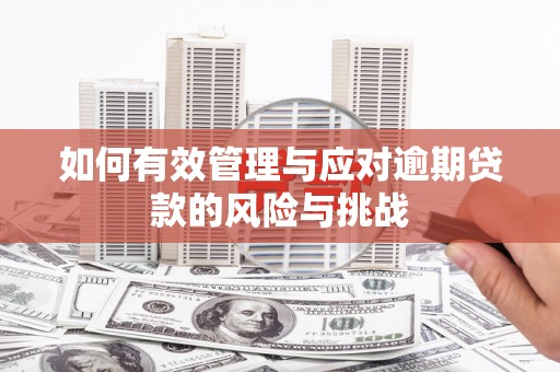 郁南如何有效管理与应对逾期贷款的风险与挑战