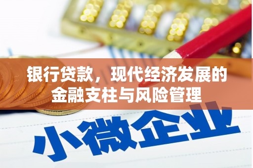 郁南银行贷款，现代经济发展的金融支柱与风险管理