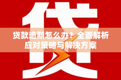 郁南贷款逾期怎么办？全面解析应对策略与解决方案