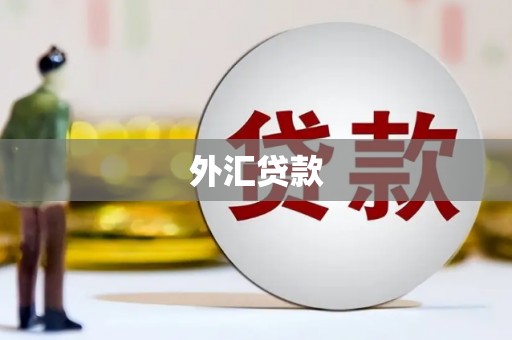 郁南外汇贷款