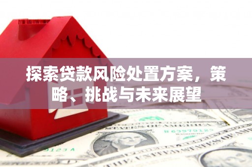 郁南探索贷款风险处置方案，策略、挑战与未来展望