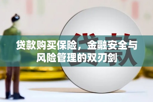 郁南贷款购买保险，金融安全与风险管理的双刃剑
