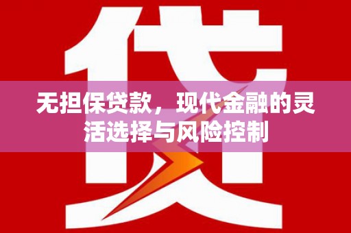 郁南无担保贷款，现代金融的灵活选择与风险控制