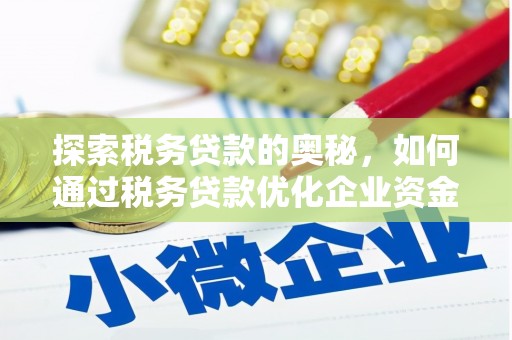 郁南探索税务贷款的奥秘，如何通过税务贷款优化企业资金流