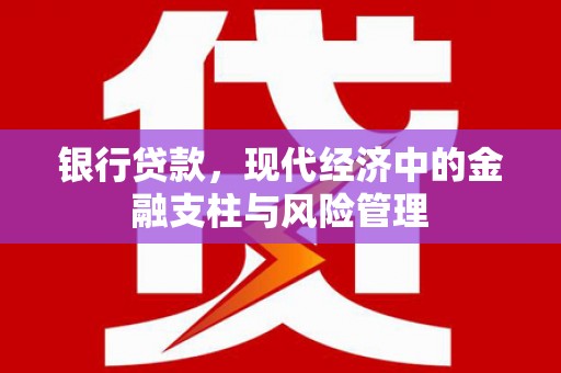 郁南银行贷款，现代经济中的金融支柱与风险管理
