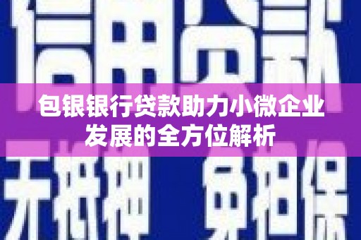 郁南包银银行贷款助力小微企业发展的全方位解析