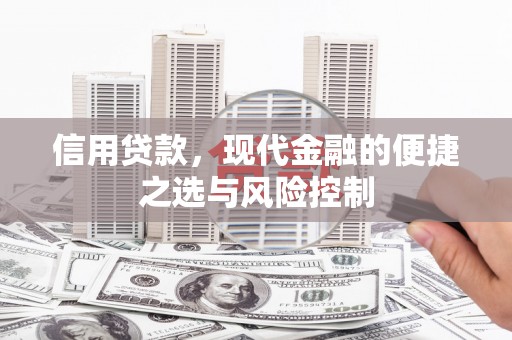 郁南信用贷款，现代金融的便捷之选与风险控制