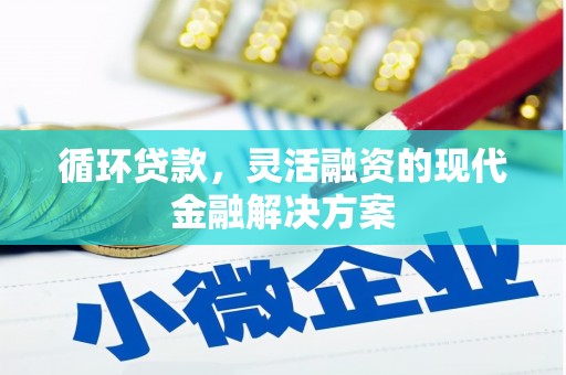 郁南循环贷款，灵活融资的现代金融解决方案
