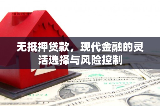 郁南无抵押贷款，现代金融的灵活选择与风险控制