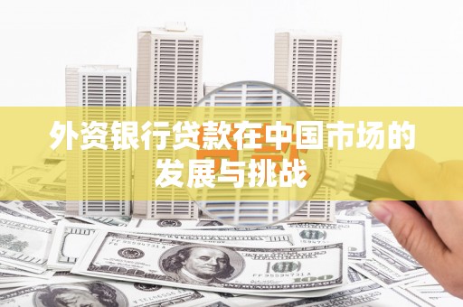 郁南外资银行贷款在中国市场的发展与挑战