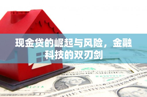 郁南现金贷的崛起与风险，金融科技的双刃剑