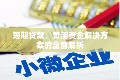 郁南短期贷款，灵活资金解决方案的全面解析