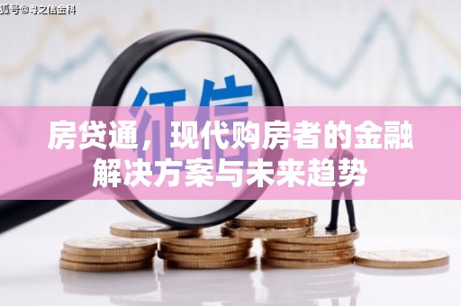 郁南房贷通，现代购房者的金融解决方案与未来趋势
