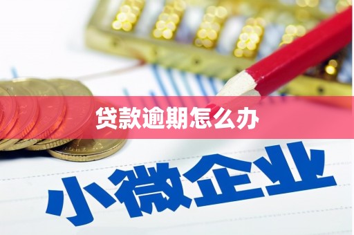 郁南贷款逾期怎么办