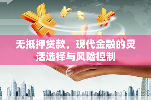 郁南无抵押贷款，现代金融的灵活选择与风险控制