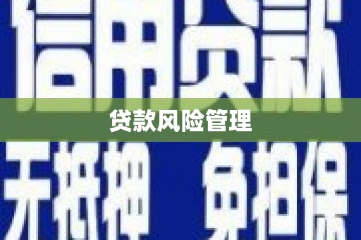 郁南贷款风险管理
