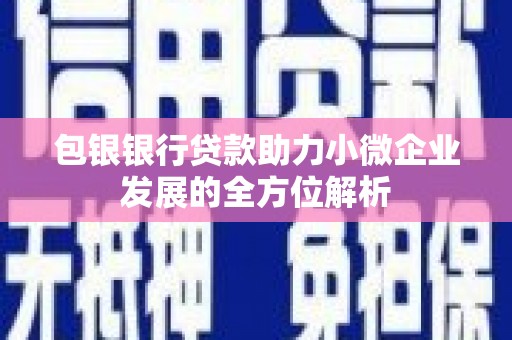 郁南包银银行贷款助力小微企业发展的全方位解析