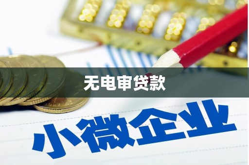郁南无电审贷款