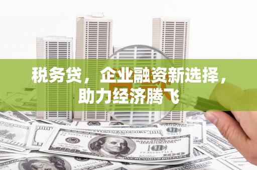 郁南税务贷，企业融资新选择，助力经济腾飞